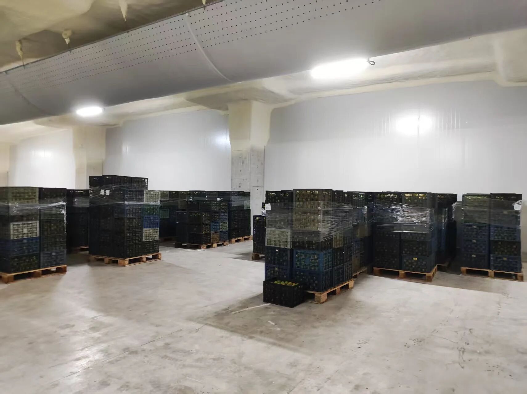 41fa26feb231b83a3c3bd8f732b2f162.jpg 41fa26feb231b83a3c3bd8f732b2f162.jpg